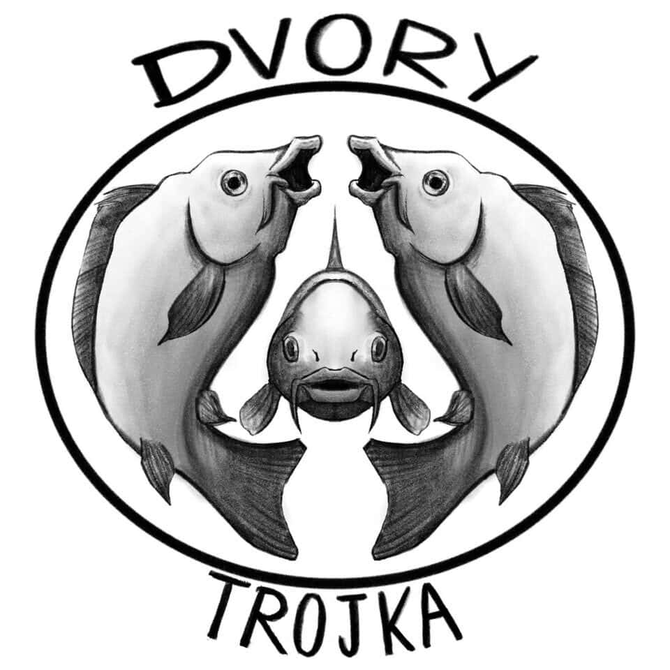 Logo Dvory Trojka